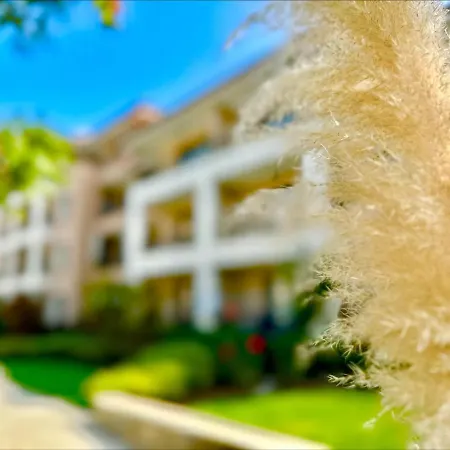 Sea Dreams - Menada Apartment Sveti Vlas